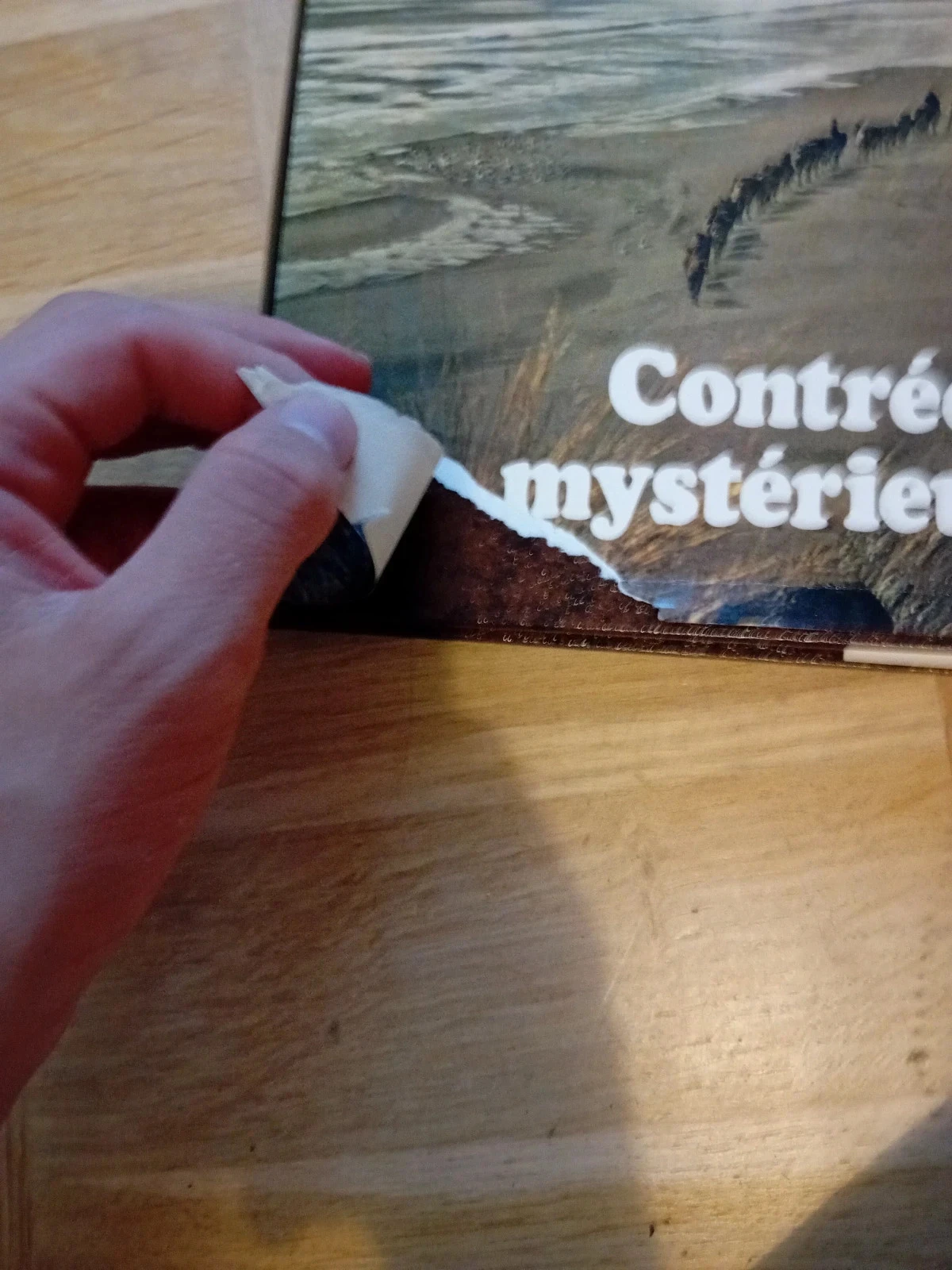 Les grands mystères- Contrées mystérieuse – photo 2